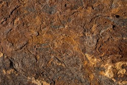 Natural textures, abstract background. High quality photo. Organic matter in natural earthy hues and tones