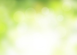 nature blur greenery bokeh leaf wallpaper; spring and autumn park background; Soft focus light on view leaves flare medical rays abstract pastel tree foliage forest landscape gradient white and yellow
