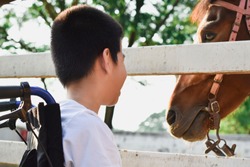 A boy is smiling on a wheelchair.
He sitting in the ranch.
In the white fence there is a brown horse. Happy disabled child concept.
