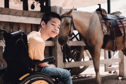 Disabled child on wheelchair is playing, learning and exercise in the outdoor like other people,Horse barn background in summer,Lifestyle of special child in education age,Happy disability kid concept