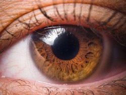 Human eye close-up