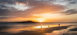 People and dog playing at Milford beach at sunrise, Rangitoto Island in the distance, Auckland.