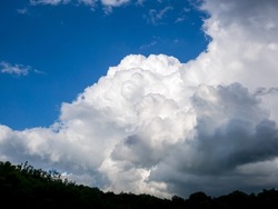 Massive rain cloud, Cumulus congestus, over the horizon with a dark outline of the treetops