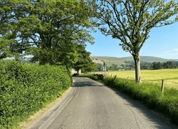 View along, Eshington Lane, with hedgerow, trees, fields, and distant hills in, Aysgarth, UK