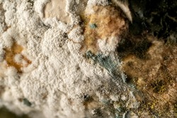 Natural background of a mold with a macro. Shades of green on mold. Texture of toxic green mold with white orange spots. Mold on food.