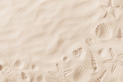 Top view of a sandy beach texture with imprints of exotic seashells and starfish as natural textured background
