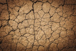 Texture of dry cracked earth. The desert background. The global shortage of water on the planet. Deep cracks in the brown land as a symbol of hot climate and drought.