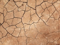 The ground has cracks in the top view for the background or graphic design with the concept of drought and death.