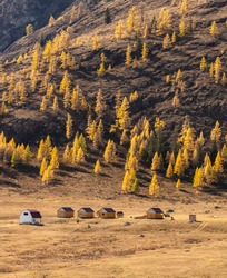 Altai mountains. Beautiful highland autumn panoramic landscape. Portrait size. Wooden huts in the foreground. Mountain slopes covered with golden trees in the background. Russia. Siberia.