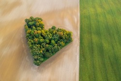 aerial view of heart shape copse in the middle of field