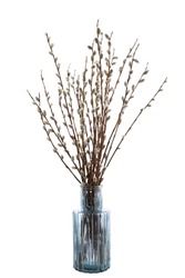 Pussy willow (sallows, osiers) in a vintage glass vase