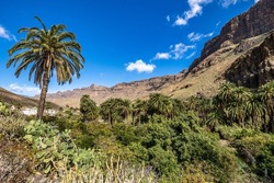 Rocky landscape of the Palm valley at Arteara in Gran Canaria island, Spain. Gran Canaria is the second most populous island of the Canary Islands in Atlantic Ocean.