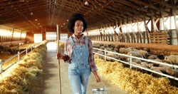African American woman shepherd walking in stable and carrying bucket with food or water for cattle. Cleaning. Feeding. Curly female farmer strolling with bin to feed sheep or clean. Farming work.