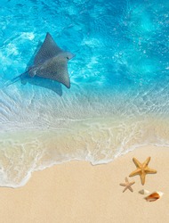 Underwater world. Image with stingray and ocean for 3d floor. Collage. 