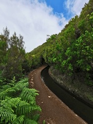 Along the Lagoa do Vento levada walk in Madeira, Portugal, the water canal lies to the right under a clear blue sky, beautifully contrasted by the surrounding lush green vegetation.