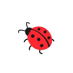 Cute ladybug or ladybird simple flat design red and black. Vector illustration isolated on white background