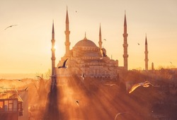 Istanbul, Turkey. Blue Mosque (Sultanahmet Camii) at sunset. Seagulls on the background of sunset. The landmark of Istanbul.