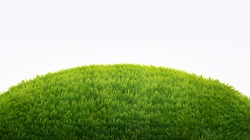 green field of fresh grass isolated on white. natural easter background