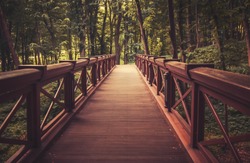 old wooden bridge in  deep forest, natural vintage background
