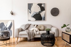Stylish and scandinavian living room interior of modern apartment with gray sofa, design wooden commode, black table, lamp, abstract paintings on the wall. Beautiful dog lying on the couch. Home decor.