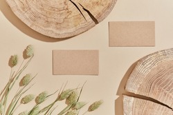 Flat lay of stylish composition with mock up visit cards, wood,  dry plants and accessories. Neutral colors, top view, template.