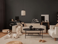 Interior design of elegant living room, with mock up poster frame,  modular sofa, white armchair, black coffee table, beautiful dog lying on the carpet and personal accessories. Home decor. Template. 