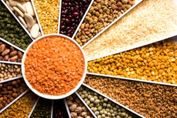 Indian Beans,Pulses,Lentils,Rice and Wheat grain in a white Sunburst or sun rays shape designer container , selective focus.
