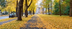 Panorama, autumn landscape of a city street in Germany. Yellow leaves of trees. City Park.