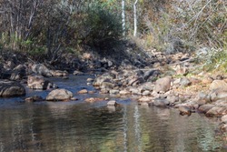 Picture taken facing upstream on Beaver Creek in Colorado
