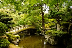 Pond in a Japanese garden