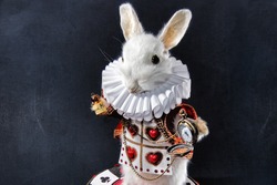 The white rabbit from Alice in wonderland taxidermy 