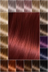 Hair dye shades. Hair color palette with a wide range of swatches showing color swatches arranged in neat rows on a postcard. Printing. A set of hair dyes. Various colors. red