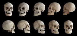 Human anatomy. Human skull. Collection of rotations of the skull. Skull at different angles. Isolated on black background. 