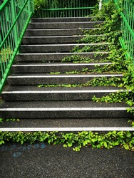 Stairs in the park with green ivy