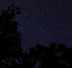 Calm and star filled night in North Carolina near Raeford