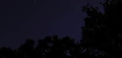 Stars and silhouetted trees on a calm night near Raeford North Carolina with copy space