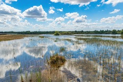 Wetlands area at Chapel Trail Nature Preserve, with sky reflected in water - Pembroke Pines, Florida, USA