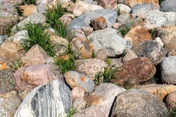 Green grass grows between large granite boulders. Large boulders lie randomly and grass grows between them.