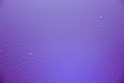 Condensed water droplets on a violet background Raindrops with reflections on the surface abstract wet texture