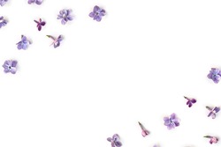 Frame of violet blue flowers lilac ( Syringa vulgaris ) on a white background with space for text. Spring flowers. Top view, flat lay