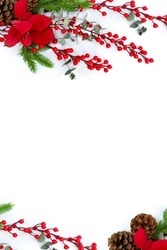 Christmas decoration. Red berries, flower red poinsettia, christmas tree, pine cone, eucalyptus leaves on a white background with space for text. Top view, flat lay