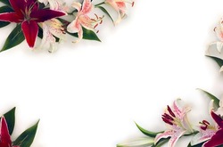 Frame of white flowers lilies with pink spots and maroon lilies on a white background with space for text. Top view, flat lay