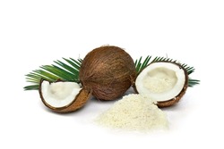 Coconut (Cocos nucifera) with halfs, white shredded flesh flakes and palm leaves on a white background with space for text