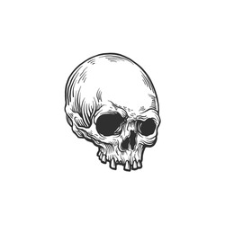 The skull. Can be used as a sketch of a tattoo.