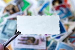 Blank postage stamp in tweezers against blurred background collection of multicolored postage stamps of different countries. Selective focus