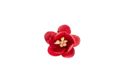 Red flower for scrapbooking, isolated on white background. Scrapbook element