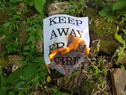 Flames burning a charred piece of firewood and leaping to a burned piece of paper with ruffled ash edges