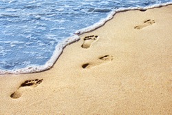 Sea shore. Human footprints on a sandy beach. Shallow depth of field. Focus on the center of the image