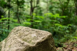 Yellow brown rock as foreground object in shallow depth of field focus with tropical rain forest jungle full of trees and leaves as blurred bokeh background. Stone with moss and blurred dry leaves.