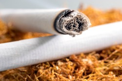 Close up view of the burning cigarette on the tobacco. Tobacco contains nicotine. Smoking cigarettes can lead to nicotine addiction. The addiction begins when nicotine acts on nicotinic acetylcholine.